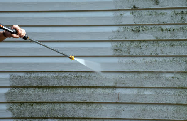 Best Affordable Power Washing  in Monroeville, AL