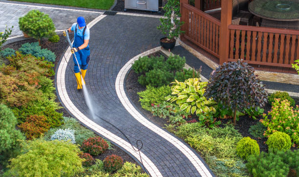 Best Pressure Washing Driveway  in Monroeville, AL